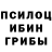Псилоцибиновые грибы ЛСД Alexis Suarez