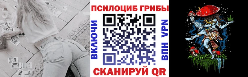 Псилоцибиновые грибы Psilocybe  закладки  Кировград 