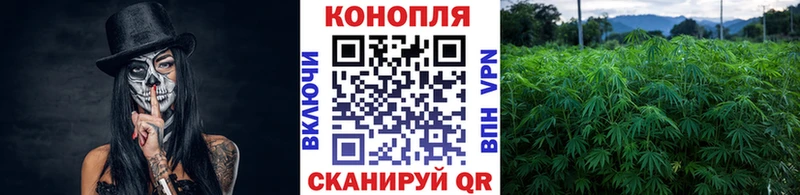 Каннабис Amnesia  Кировград 